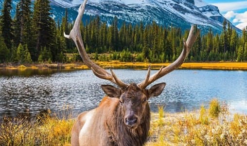 eTA Canada