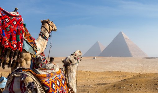 Visum Egypte