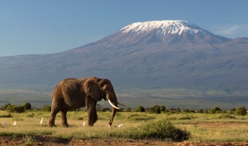 Visum Kenia